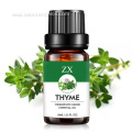 100% pure and natural thyme essential oil for Antibacterial and antiviral